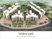 Space India Krishna Park