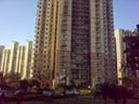 3 Bedroom Apartment / Flat for rent in DLF City Phase IV, Gurgaon
