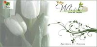 3 Bedroom Flat for sale in Tulip White, Sector-69, Gurgaon