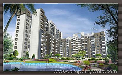 Daadys Elixir - Electronic City, Bangalore
