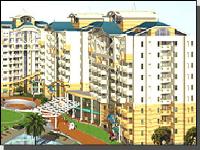 1 Bedroom PG for rent in Royal Legend, Bommanahalli, Bangalore