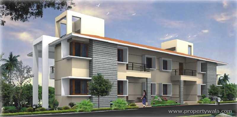 Natesan Ponni Delta - Srirangam, Tiruchirappalli