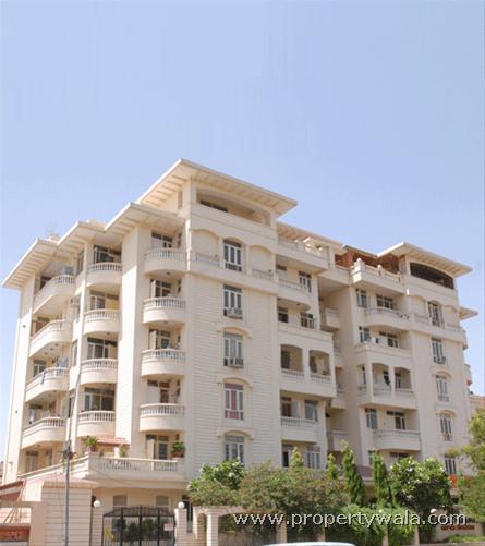 Royal Paradise - Malviya Nagar, Jaipur - PropertyWala.com