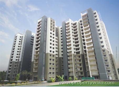 Sobha Elite - Tumkur Road, Bangalore