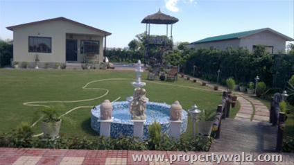 Dkrrish Green Beauty Farms - Yamuna Expressway, Greater Noida