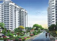 2 Bedroom Flat for sale in JNC Greenwoods, Vasundhra, Ghaziabad