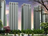 www.propertywala.com
