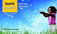 1 Bedroom Flat for sale in Savannah Delight, Wagholi, Pune