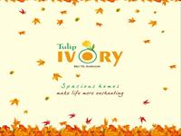 4 Bedroom Flat for rent in Tulip Ivory, Sector-70A, Gurgaon