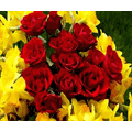 Jayaraman Associate