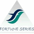 Fortune Series Biz Pvt Ltd