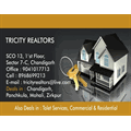 Tricity Realtors