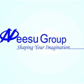 Neesu construction