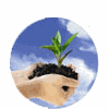 Dynamic Desire Land India Ltd