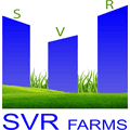 Svr Group Developers And Builders