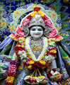 Rudra Properties