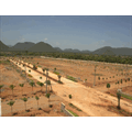 Avigna Projects
