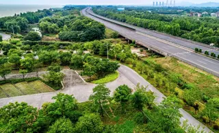 Bhopal's Top Investment Hotspots for 2025: Maximize ROI in Ayodhya Bypass, Kolar Road & Hoshangabad Road