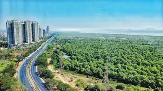 Ghodbunder Road's Residential Renaissance: A Buyer's Insights