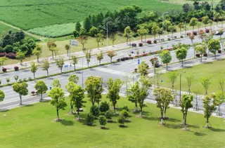 Jalandhar vs Amritsar: Real Estate Crossroads Shaping Punjab's Investment Landscape