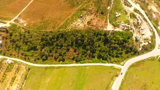 Land Leasing in New Chandigarh: Mining Fresh Trails for Investors