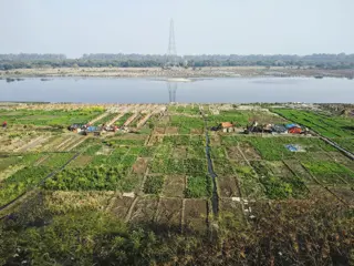 Mastering Agricultural Land Conversion to Residential in Bhopal: Policies, Process, and Profits