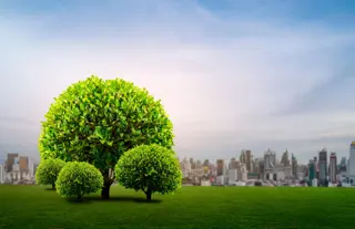 Sustainable Housing ROI: IGBC Green Certification Impact in Greater Noida