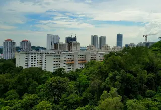 Sustainable Housing Trends in Chennai 2025: Eco-Friendly Living Rises