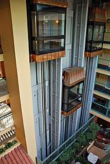 Elevator industry receives a great boost from the vertical development.