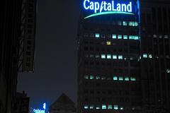 CapitaLand to skip real estate India