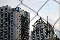 MCHI demands for expert panel.