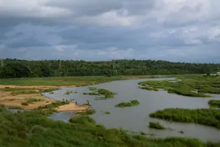 Bihar Enforces 4-Month River Sand Mining Ban to Protect Ecosystem