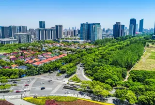 Odisha Cabinet Greenlights 800-Acre Futuristic City Near Bhubaneswar: Rs 8,179 Crore Vision Set to Transform Eastern India's Real Estate Landscape