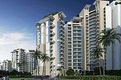 Many Builders are identified by Noida Authority as default payers.