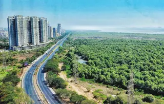 Kozhikode's Residential Boom: Urbanisation Drives Sustained Demand in 2025