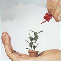 Private Equity Raises Fund
