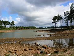 Water shortage severely affects construction.