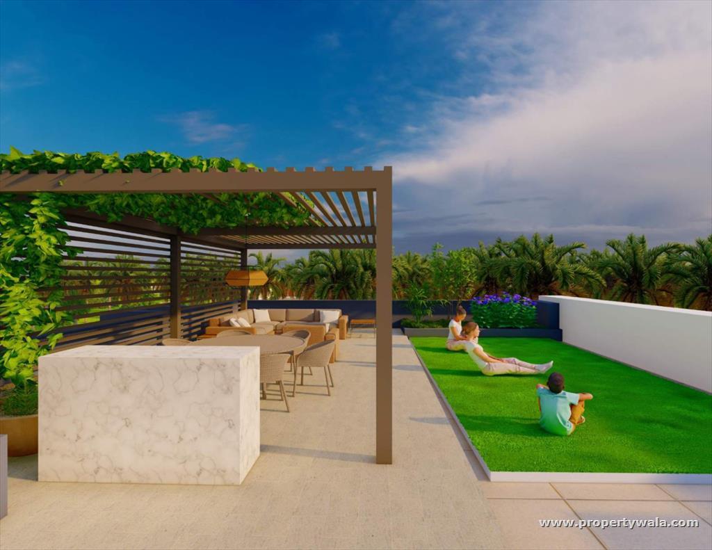 Project - Garden
