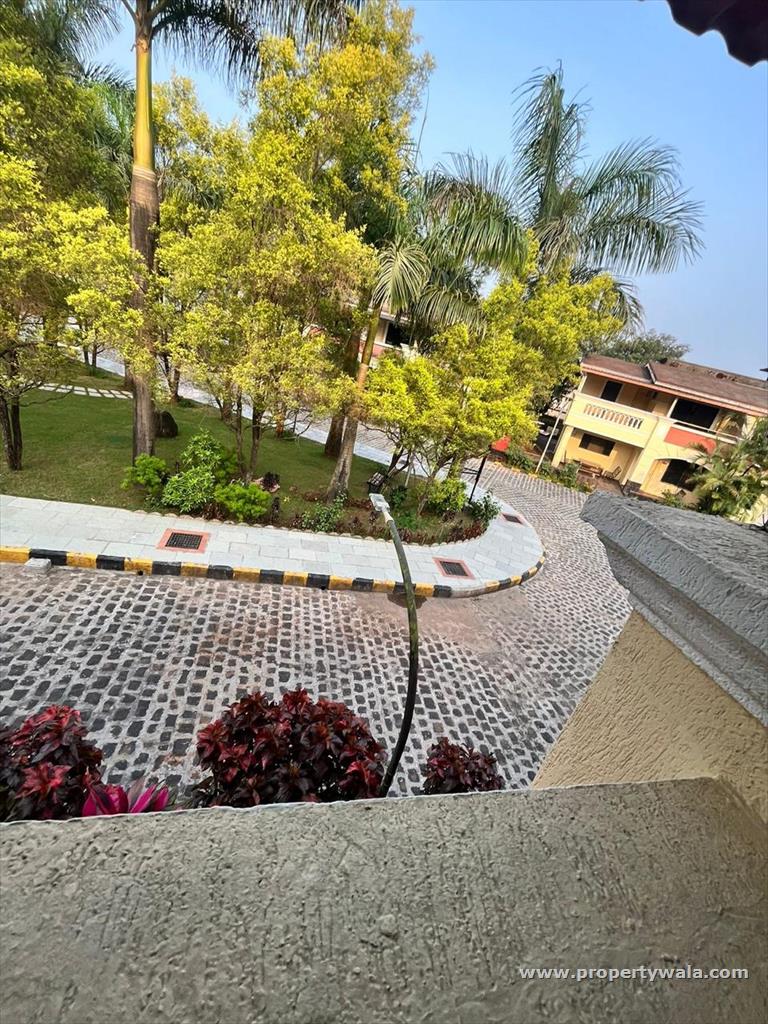 Bungalow view