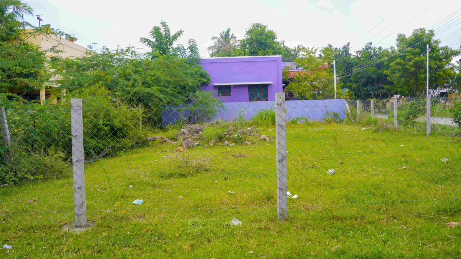 Plot Photo