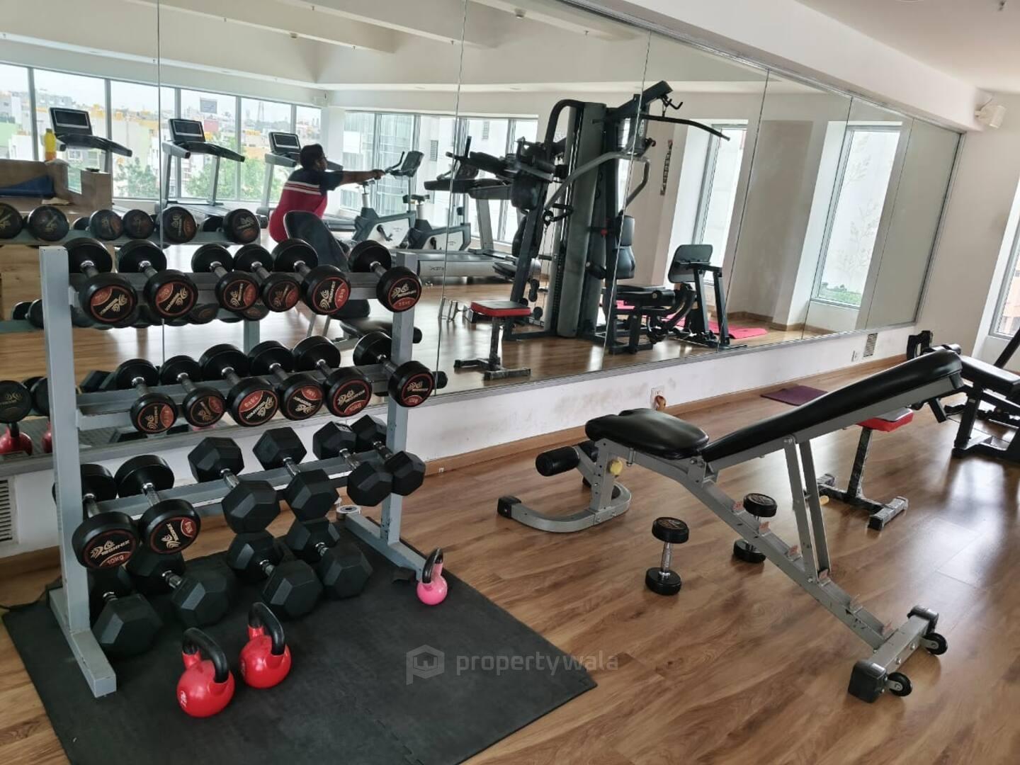 Gymnasium
