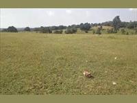 Agricultural Plot / Land for sale in Ahmedabad Road area, Udaipur