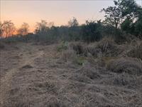 agricultural land for sale in sangameshwar - ratnagiri - KONKAN