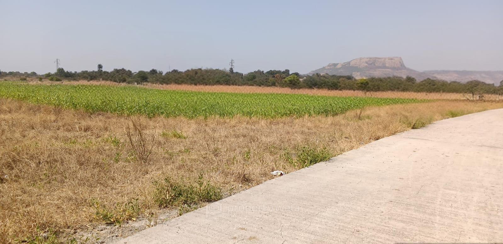 plot view