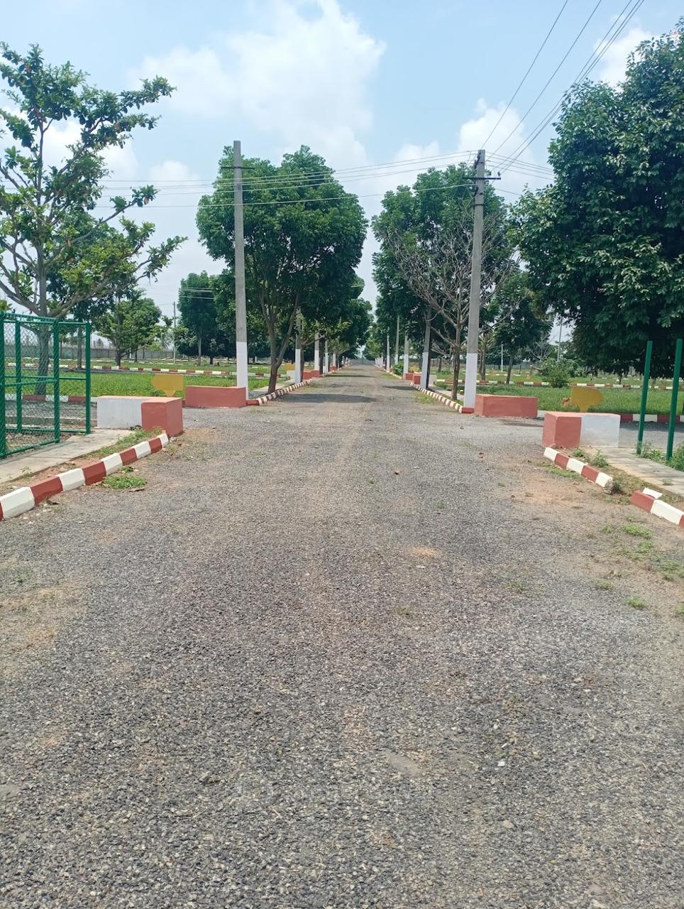 plot view