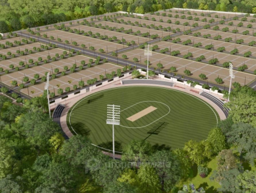 Stadium View