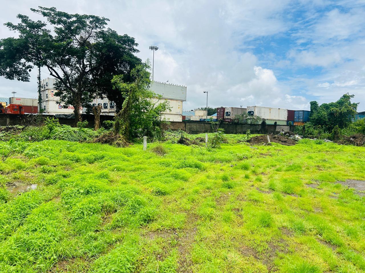 PLOT VIEW