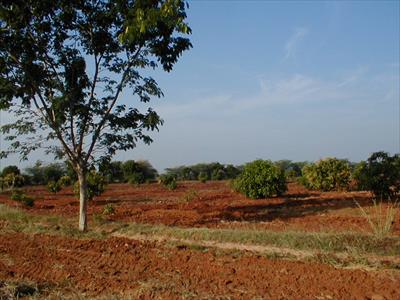 Residential Land for sale in Panaiyur, Sivaganga