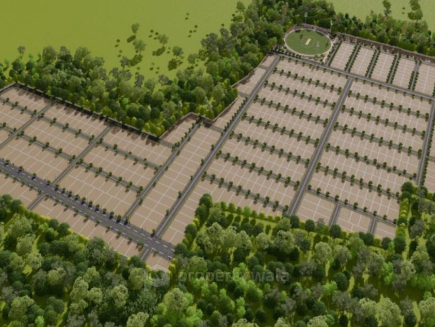 Plot View
