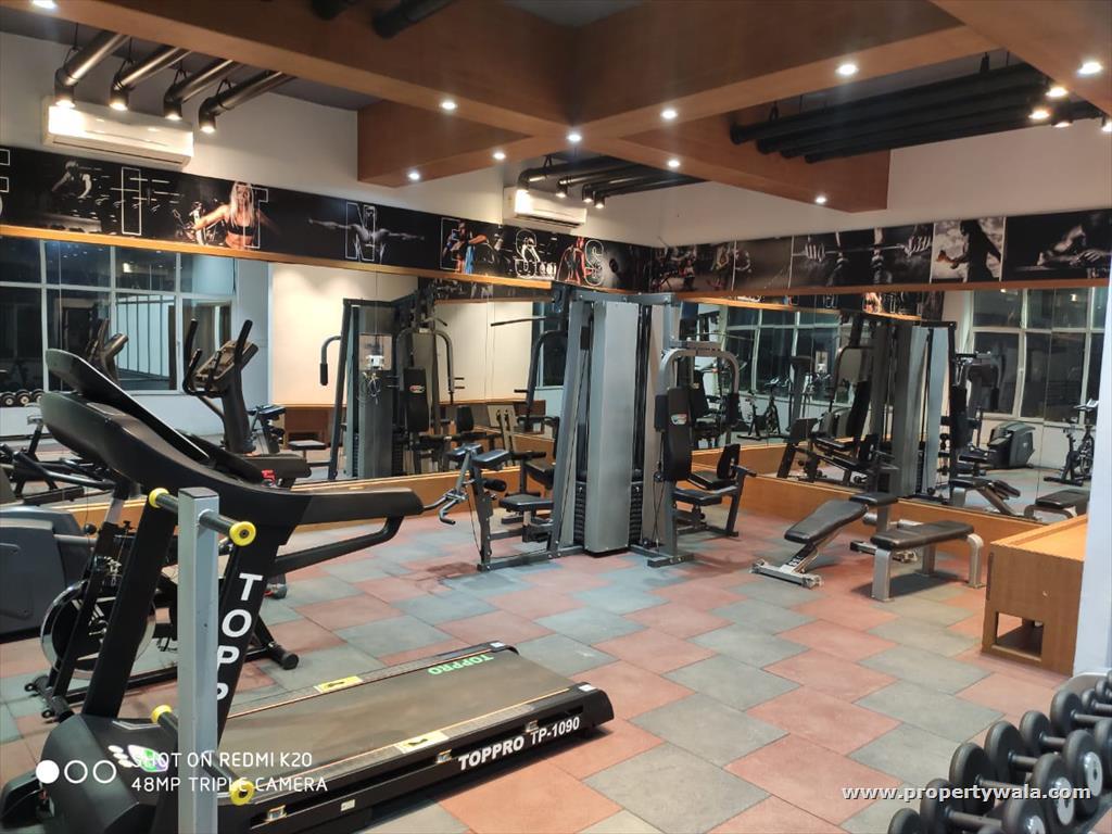 Gymnasium